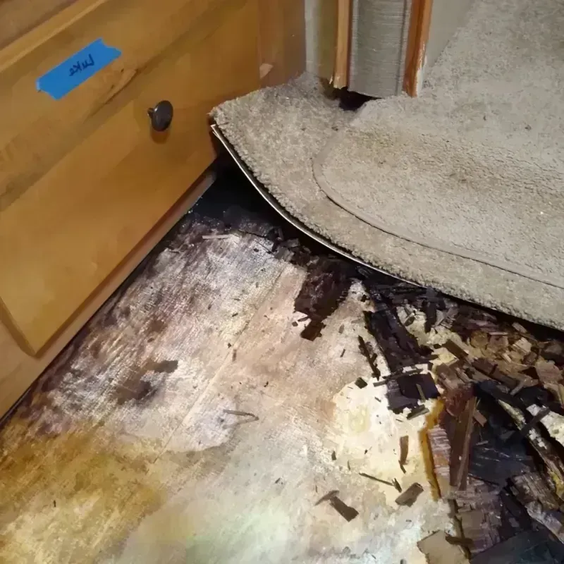 Wood Floor Water Damage in Galveston, IN